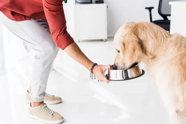 Cropped view of man feeding golden retriever dog from metal bowl — Stock Photo