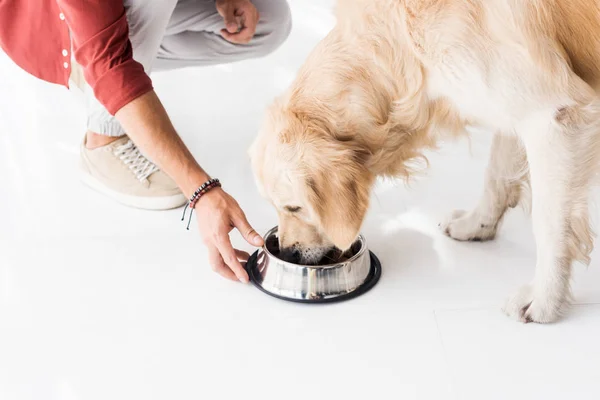 Cropped view of man feeding golden retriever from dog bowl — Stock Photo