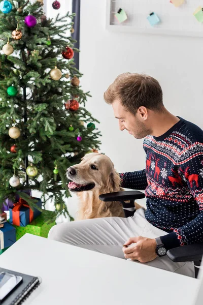 Homme en pull de Noël assis sur une chaise avec golden retriever près de l'arbre de Noël — Photo de stock