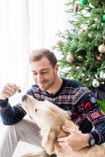 Улыбающийся мужчина в зимнем свитере дает собачью еду золотистому ретриверу возле рождественской елки — стоковое фото