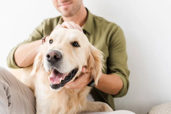 Cropped view of man stroking golden retriever dog — Stock Photo