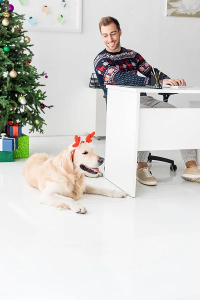 Smiling man in christmas sweater looking at golden retriever in deer horns — Stock Photo