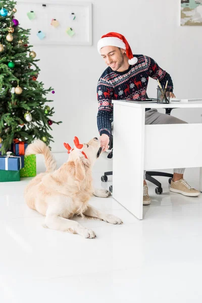 Homme souriant dans le chapeau de Père Noël regardant drole golden retriever dans les cornes de cerf — Photo de stock