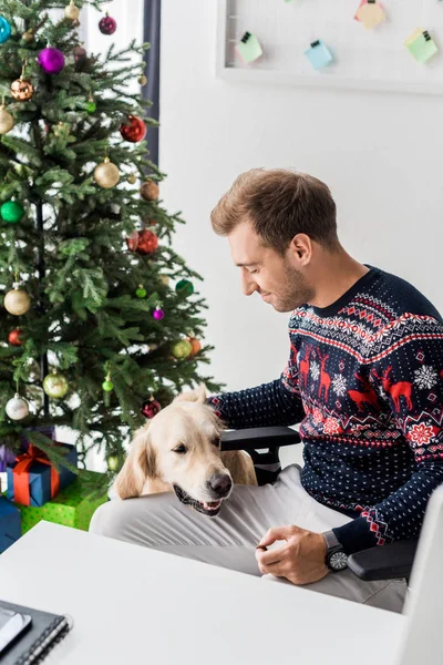 Man in winter sweater looking at golden retriever near christmas tree — Stock Photo