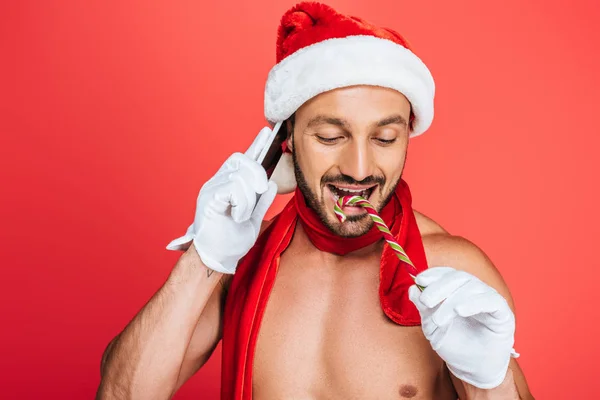Feliz hombre musculoso sin camisa en sombrero de Navidad y bufanda roja hablando en el teléfono inteligente y lamiendo palo de Navidad aislado en el fondo rojo - foto de stock