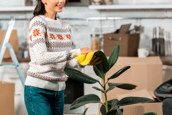 Vista parcial de la mujer joven limpiando el polvo de la planta en maceta por trapo en la cocina con cajas de cartón en el nuevo hogar — Stock Photo