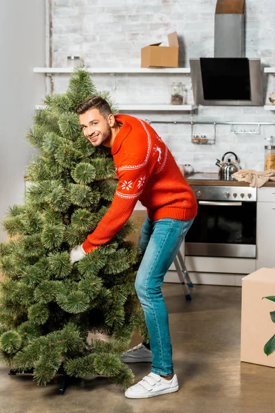 Handsome smiling man putting christmas tree in kitchen at home — Stock Photo