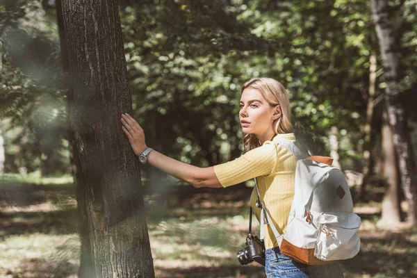 Вид сбоку на молодого туриста с фотокамерой в парке — стоковое фото