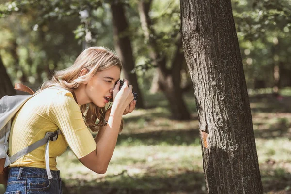 Вид сбоку молодой турист фотографирует на фотокамеру в парке — стоковое фото