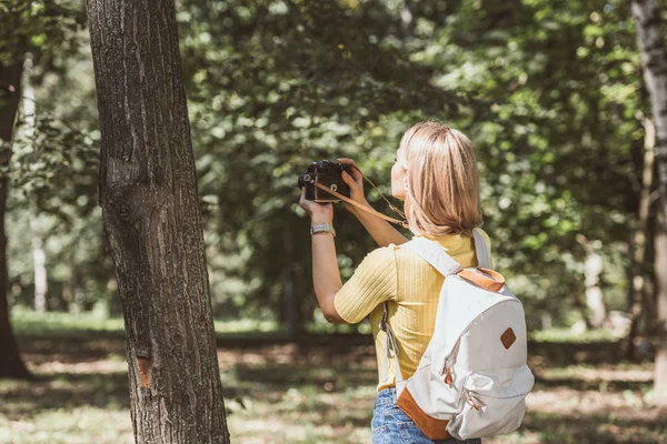 Vue arrière du touriste prenant une photo sur appareil photo dans le parc — Photo de stock