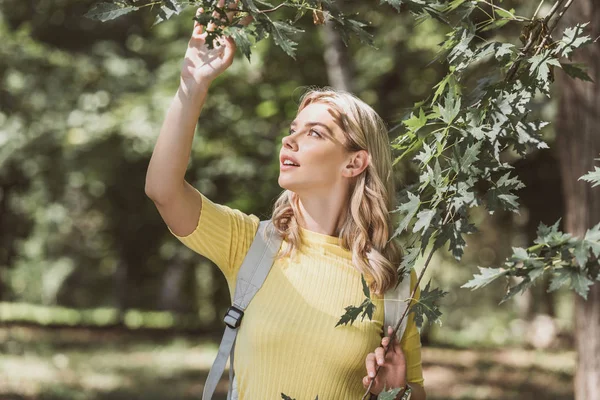Portrait of beautiful woman with backpack in park — Stock Photo