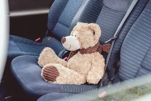 Close-up shot of cute teddy bear sitting on back seats of car — Stock Photo