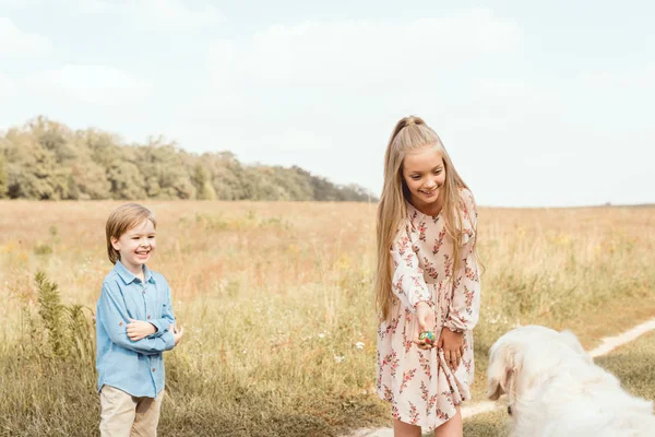 Adorable little kids playing with golden retriever dog in field — Stock Photo