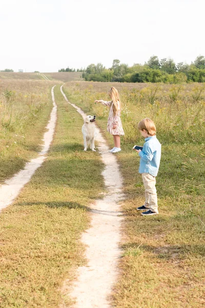 Adorable little kids spending time together in field with golden retriever — Stock Photo