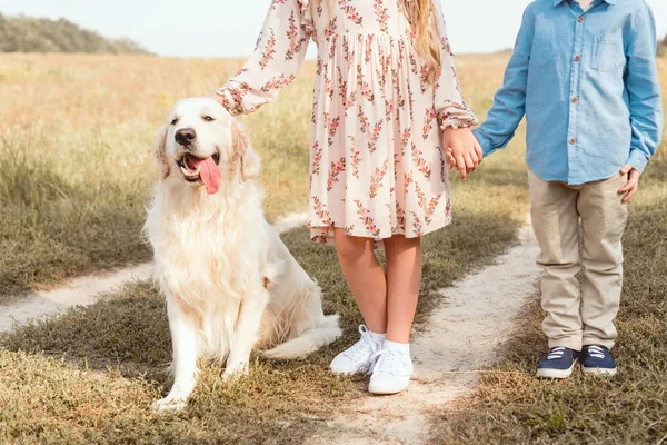 Cropped shot of little kids standing on road in field with golden retriever — Stock Photo