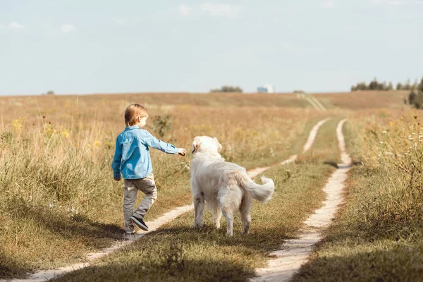 Visão traseira de criança no campo brincando com golden retriever na estrada no campo — Fotografia de Stock
