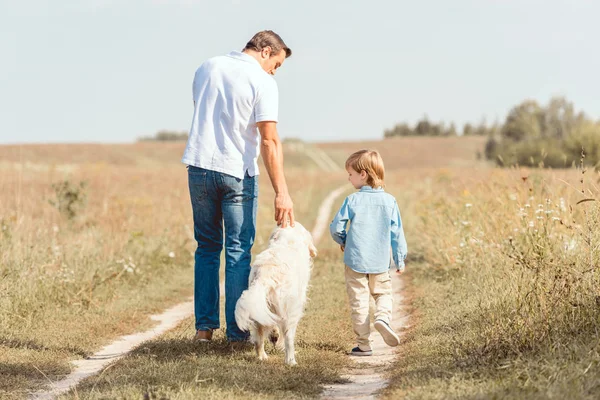 Visão traseira do pai e do filho andando com golden retriever no campo — Fotografia de Stock
