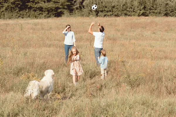 Beautiful young family with retriever dog playing in field together — Stock Photo