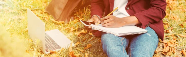 Cropped view of freelancer working with laptop, smartphone and documents in park with sunlight — Stock Photo