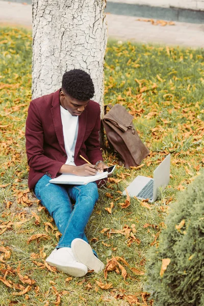 Beau jeune afro-américain pigiste écriture et de travailler avec ordinateur portable et smartphone sur l'herbe dans le parc — Photo de stock