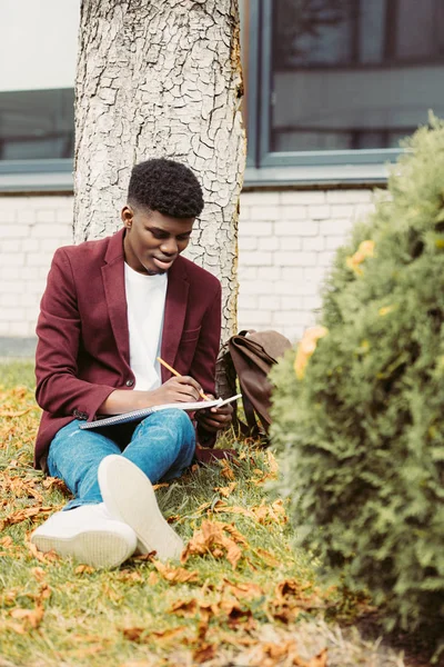 Estudiante afroamericano enfocado escribiendo en libro de texto y sentado en la hierba en el parque - foto de stock