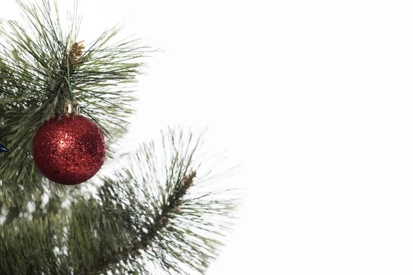 Vista de cerca de la bola roja en el árbol de Navidad aislado en blanco - foto de stock