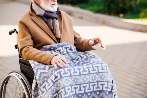 Cropped shot of senior disabled man in wheelchair with plaid on legs on street — Stock Photo