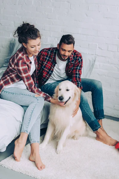 Vista de ángulo alto de pareja en camisas a cuadros acariciando adorable golden retriever en el dormitorio en casa - foto de stock