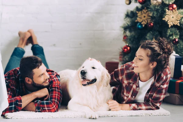 Selective focus of cute golden retriever between happy young couple on christmas at home — Stock Photo