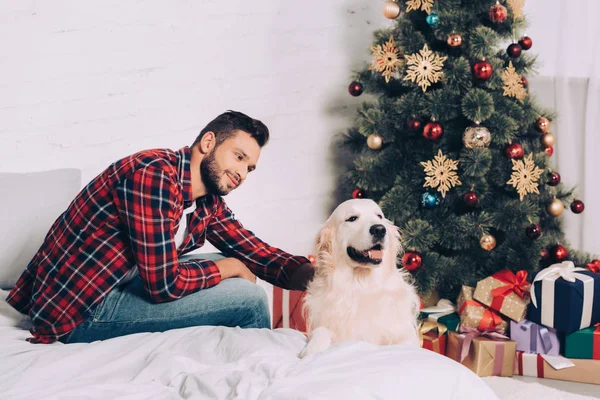 Schöner junger Mann streichelt Golden Retriever in der Nähe von Weihnachtsbaum zu Hause — Stockfoto