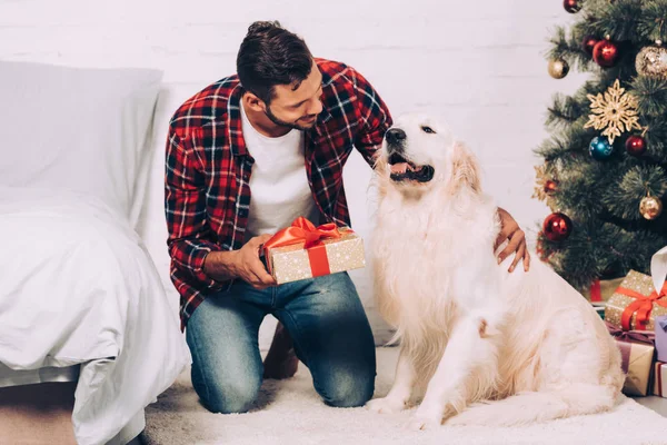 Selektiver Fokus eines lächelnden jungen Mannes, der eine Weihnachtsgeschenkschachtel in der Nähe eines entzückenden Golden Retrievers zu Hause hält — Stockfoto