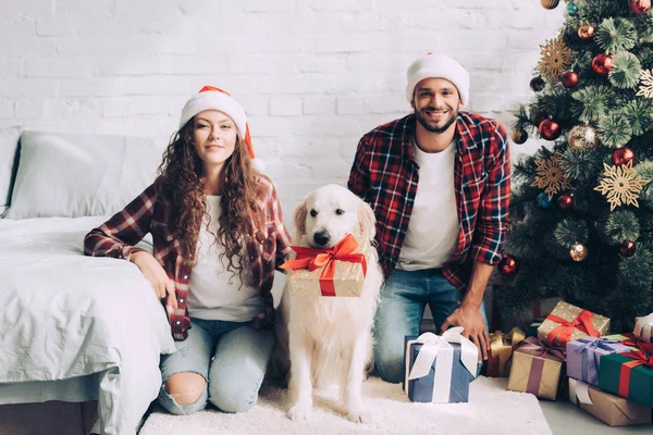 Feliz jovem casal em chapéus de santa e golden retriever com caixa de presente na boca no Natal em casa — Fotografia de Stock