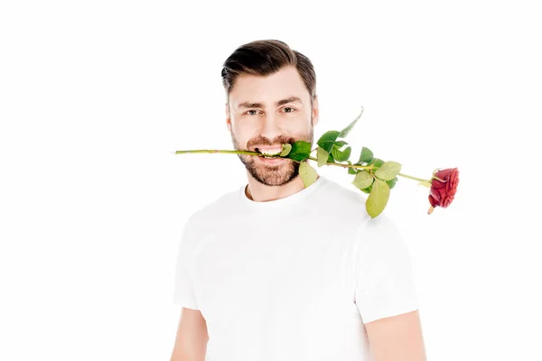 Handsome man holding red rose in mouth isolated on white — Stock Photo