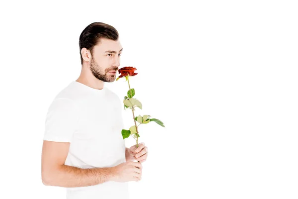Bonito homem cheirando rosa vermelha isolado em branco — Fotografia de Stock