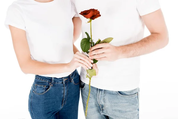 Vista parcial de Hermosa pareja con flor de rosa roja aislada en blanco - foto de stock