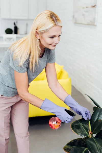 Attractive mature woman in gloves spraying green leaves — Stock Photo