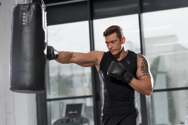 Handsome muscular boxer exercising with punching bag in gym — Stock Photo