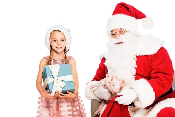 Санта-Клаус і маленька дитина дивиться на камеру, тримаючи свиню і подарункову коробку ізольовано на білому — стокове фото