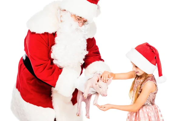 Gros plan de Père Noël claus donnant cochon à petit enfant isolé sur blanc — Photo de stock