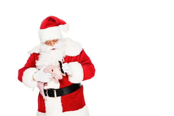 Santa claus segurando porquinho na mão e dando seu telefone para falar isolado no branco — Fotografia de Stock