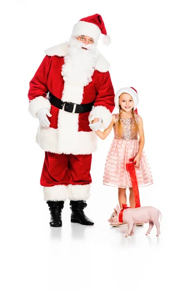 Санта-Клаус и маленький ребенок с поводком поросенка изолированы на белом — стоковое фото