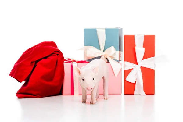 Niedliche kleine Ferkel und rote Tasche in der Nähe von Weihnachtsgeschenken isoliert auf weiß — Stockfoto