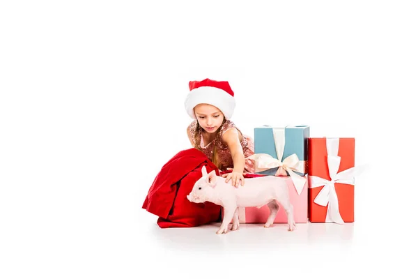 Cute happy child in santa hat stroking pig and sitting near christmas presents isolated on white — Stock Photo