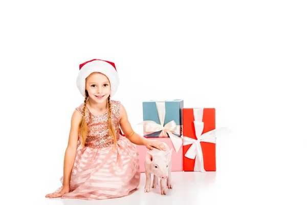 Niedliches glückliches Kind mit Weihnachtsmütze streichelt Schwein und lächelt in die Kamera, während es in der Nähe von Weihnachtsgeschenken isoliert auf weiß sitzt — Stockfoto