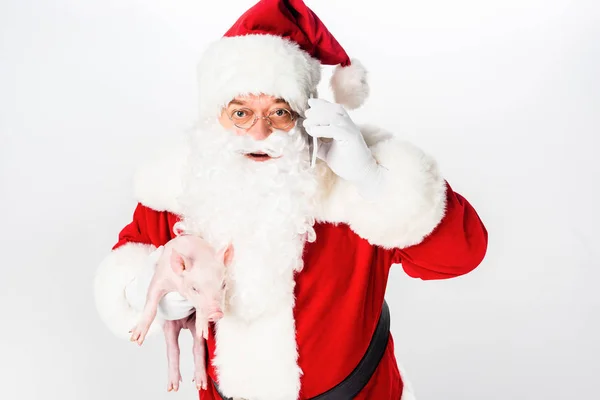 Weihnachtsmann hält Schwein und spricht per Smartphone isoliert auf Weiß — Stockfoto