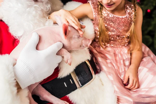 Tiro cortado de santa e criança pequena feliz brincando com porco bonito — Fotografia de Stock