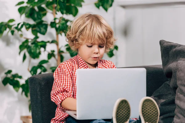 Focused little kid using laptop on sofa at home — Stock Photo