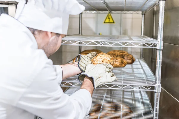 Male baker in white chefs uniform putting fresh hot bread at rack — Stock Photo