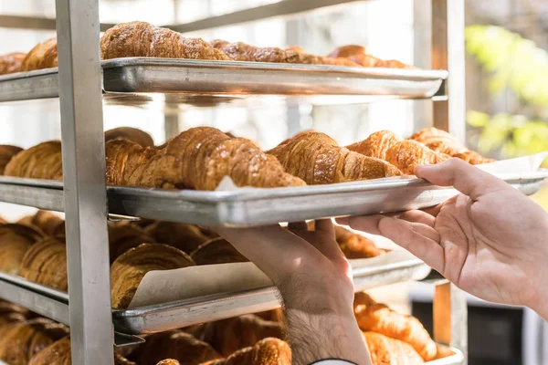 Gros plan des mains masculines de boulanger tenant la plaque de cuisson avec des croissants — Photo de stock