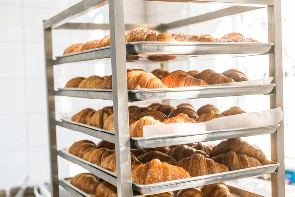 Regal voller frischer leckerer Croissants im Backhaus — Stockfoto
